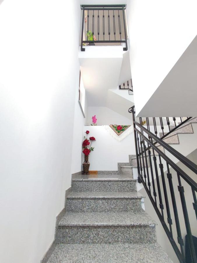 Vila Casa Hatere Moisei Ngoại thất bức ảnh